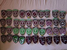 40 logistik Abzeichen Badge tenue A neu