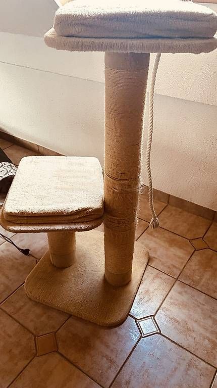 Arbres à chats: Katzenbaum  – D'occasion à Bürglen TG par jap_dcm6 1