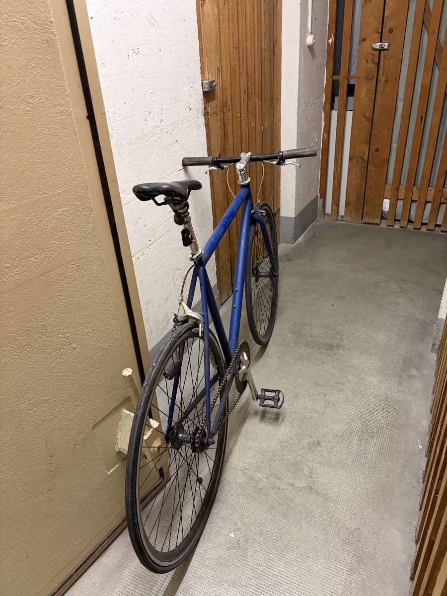 Biciclette: Fahrrad blau Singlespeed gebrauchter Zustand – Usato da Basel venduto da jfgama 1