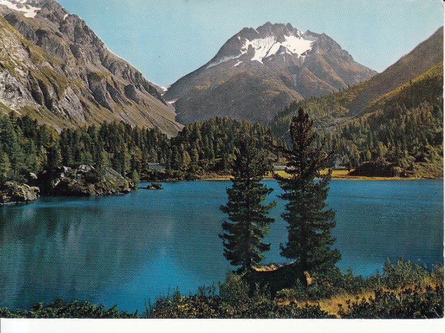 Cartoline postali: Maloja 1980 – Usato da Bürglen TG venduto da StampGraf