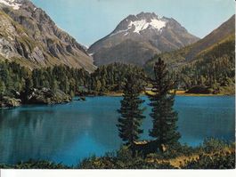 Maloja 1980