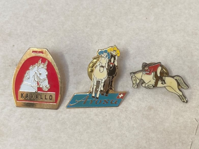 Swiss Plaketten & Abzeichen: Pin Arosa – Gebraucht aus zürich von papalapa