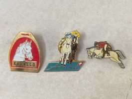 Pin Arosa