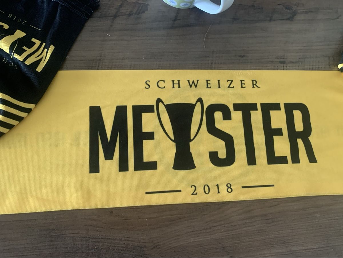 Sciarpe: BSC Young Boys Schal  – Nuovo (secondo la descrizione) da Ittigen venduto da Aida99