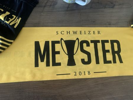 BSC Young Boys Schal 
