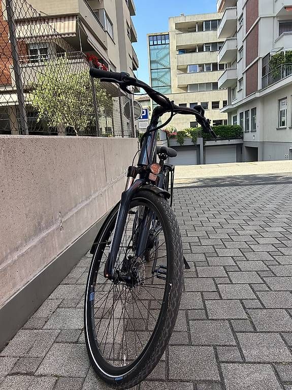 Velos: E-Bike Winora Yucatan iN7f  – Gebraucht aus Lugano von luc_bc8q 2