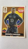 Panini Extra Sticker Moises Caicedo - BRONZE