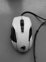 Maus/ Computer