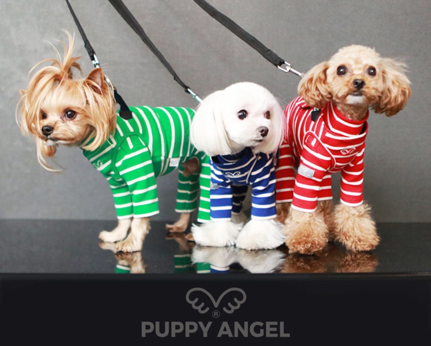 Abbigliamento: Puppy Angel Harness Vest – Nuovo e nell'imballaggio originale da Naters venduto da PuppyAngel_Schweiz 4