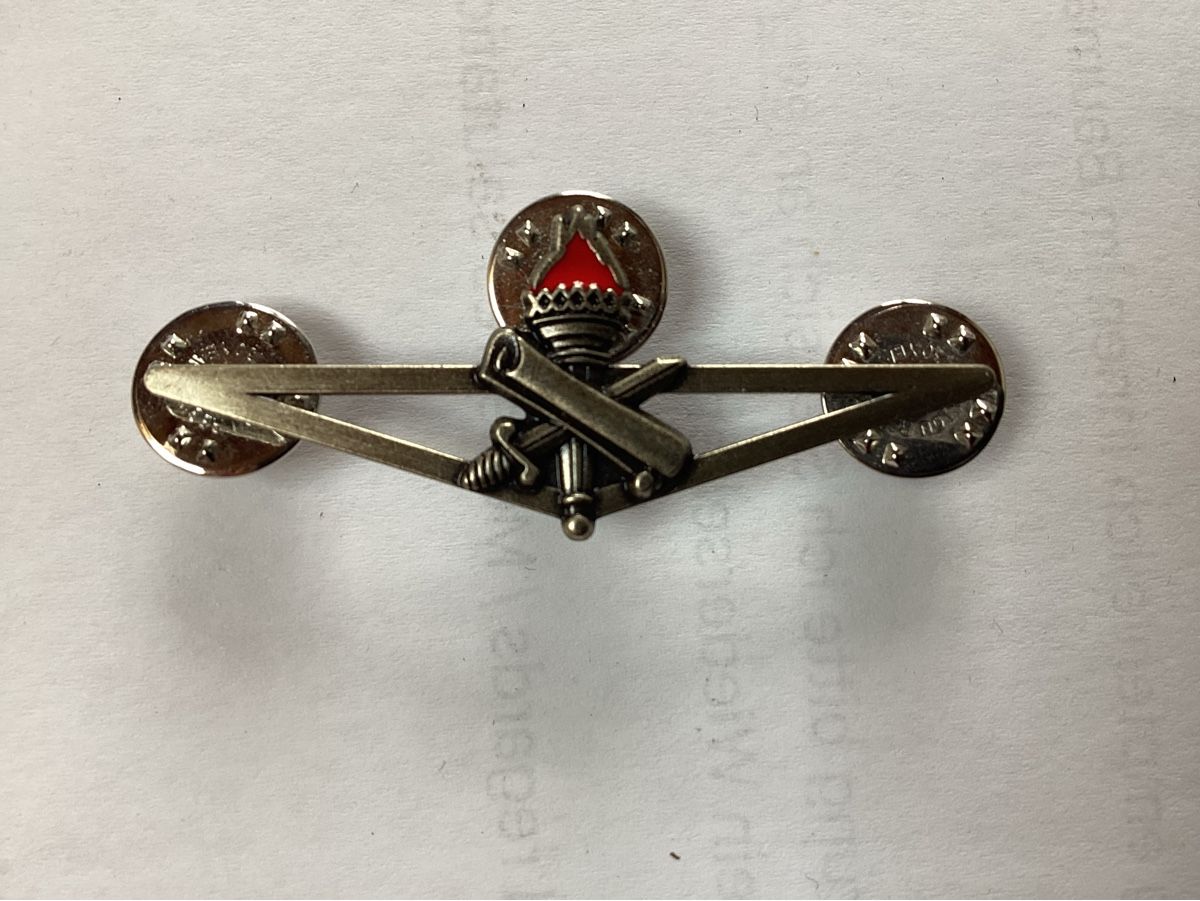 Schweizer Armee Placchette & Badge: Abzeichen Fach-Berufsmilitär – Usato da niederurnen venduto da Hagugelmann