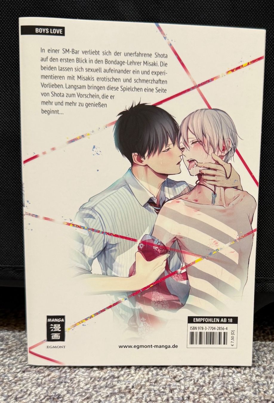 Fumetti: BL Manga: Sub. Dom. Love – Nuovo (secondo la descrizione) da Triesen venduto da cla_q2js 1