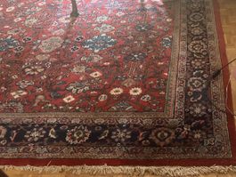 Schöner hochwertiger Teppich, 264 x 371 cm