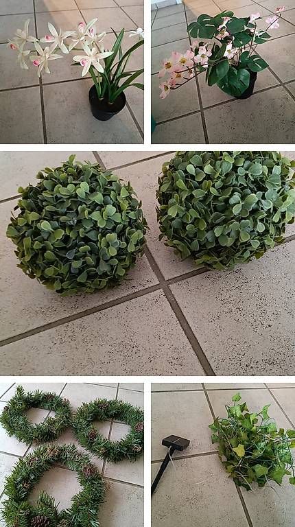Plantes & graines: Kunst pflanzen  – D'occasion à Grenchen par Hamstr 1