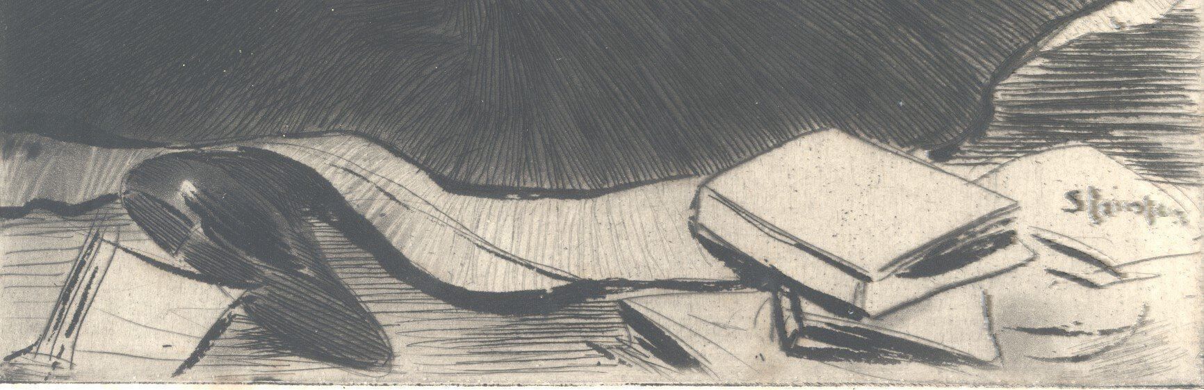 Incisioni: Steinlen Théophile-Alexandre - Fête du 8 juin 1902 – Usato da Biel/Bienne venduto da 07helios032 3