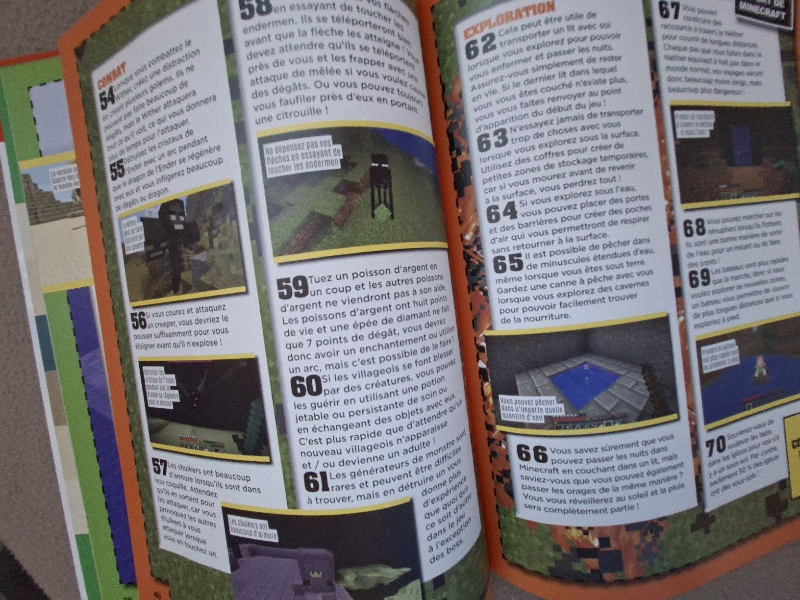Libri: Minecraft Almanach 2017 Secrets et Codes  – Usato da Lausanne venduto da bagadou 2