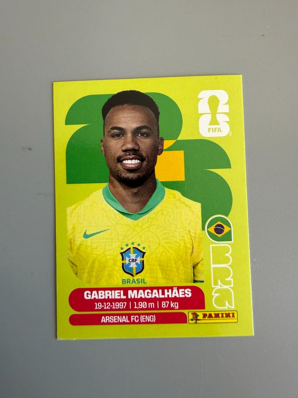 Panini Carte collezionabili: Panini Gabriel Magalhaes BRA6 – Usato da Liebefeld venduto da Ronaldo-1996