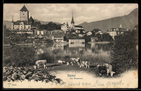 Ansichtskarten: AK Spiez, Ortsansicht – Gebraucht aus Berlin von bartko-reher