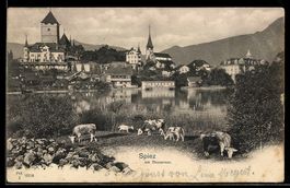 AK Spiez, Ortsansicht