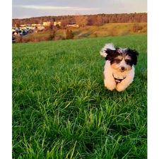 Profile image of Pumi67