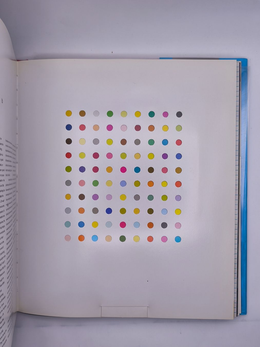 Bücher: DAMIEN HIRST – Gebraucht aus Goldach von Gaip 9