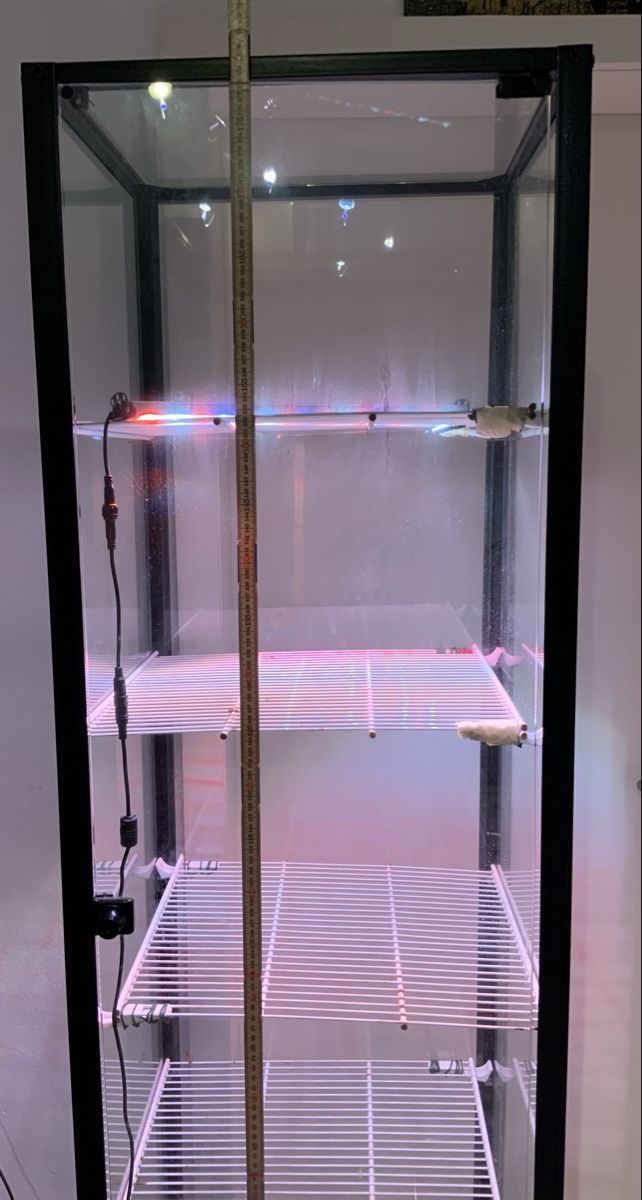 Vitrinen: Pflanzen Vitrine mit Beleuchtung – Gebraucht aus Zollikerberg von Jvac 3