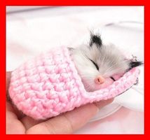 Schlüsselanhänger schlafende Katze ROSA Keychain Geschenk