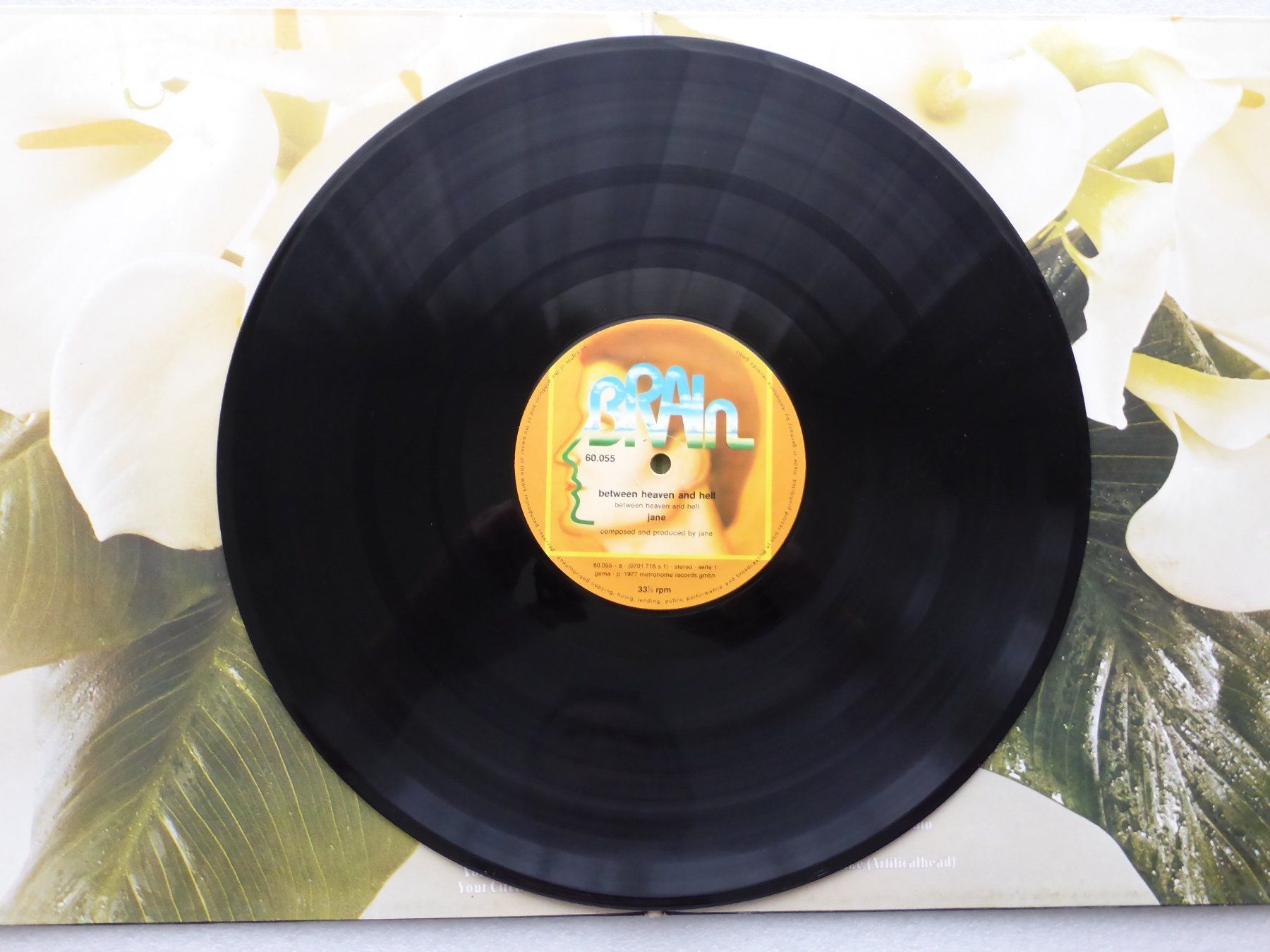 Dischi in vinile: VINYL  LP  JANE – Usato da Küssnacht am Rigi venduto da Sunnestrahl 2