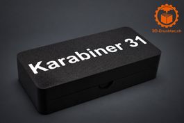 Verschlussbox Karabiner 31