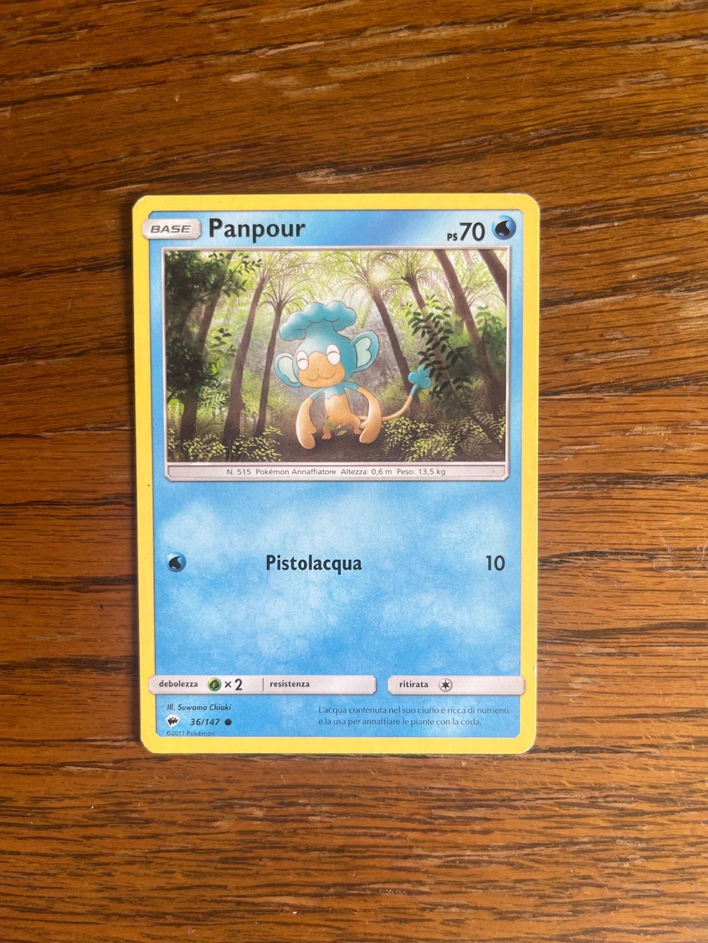 Pokémon Carte collezionabili: Carte Pokemon Panpour - Burning Shadows - IT – Usato da Vernayaz venduto da Darkfrost