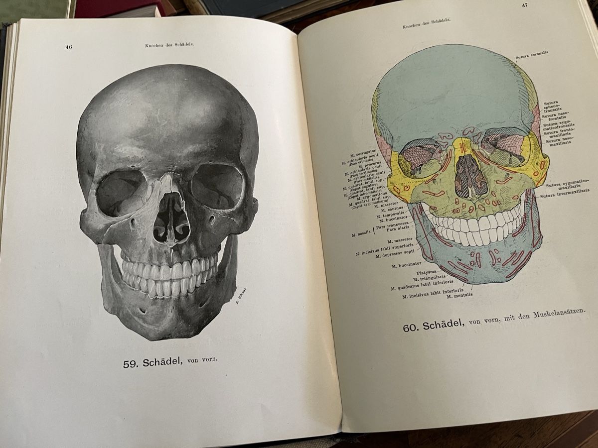 Libri: Medizinische Bücher alt – Usato da Zürich venduto da Gurly 8