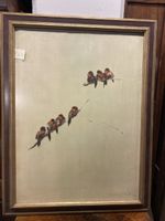 Tableau d'oiseaux signé, année 1964, encadré vintage 49