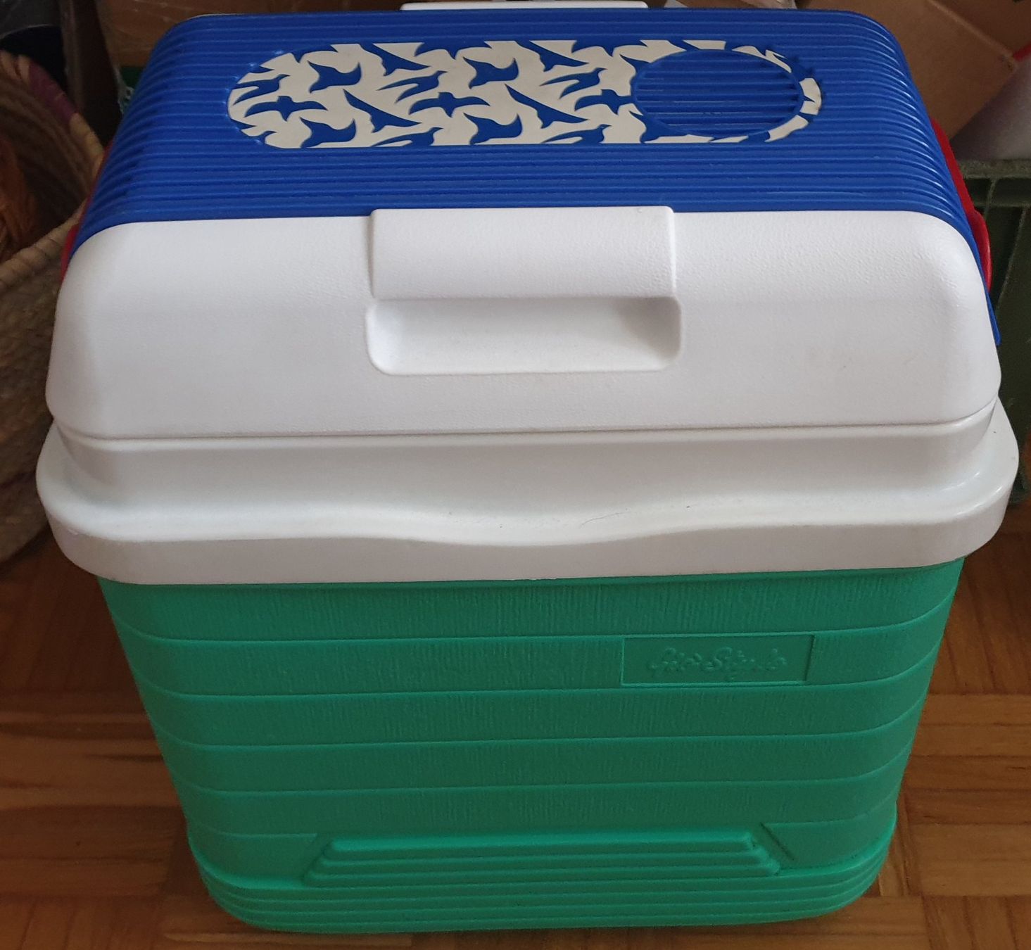 Frigoriferi & Refrigeratori: GIO'STYLE Kühlbox – Usato da Basel venduto da Ringe1