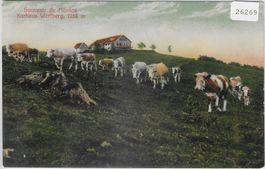 Souvenir du Montoz - Kurhaus Wertberg