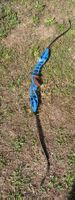 Hoyt Riser / Griffstück XD 25" Formula RH