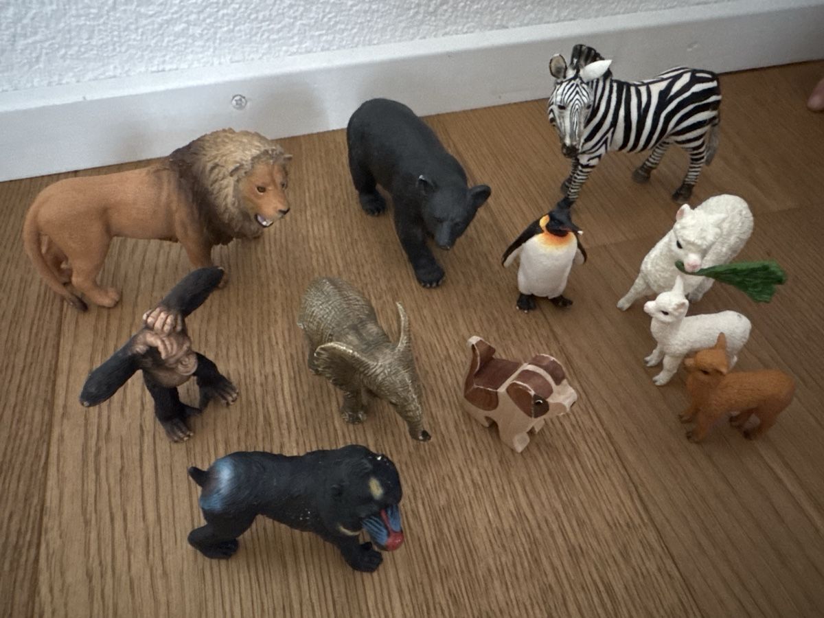 Schleich Giocattoli: Schleich: Tiersammlung – Usato da Ebikon venduto da Rineichen 1