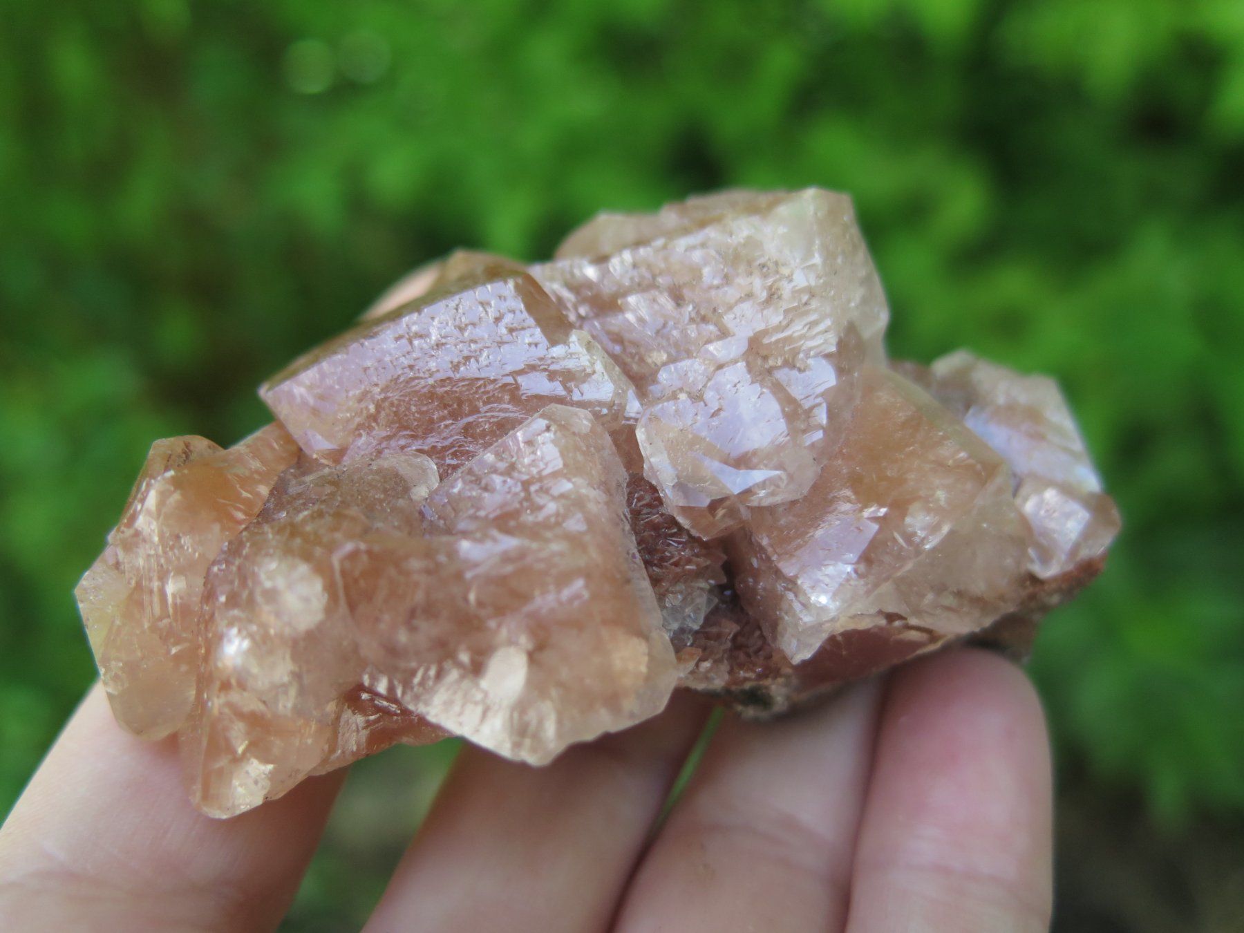 Minerali & Pietre curative: Rötlicher Calcit mit Hämatit Einschlüssen von Mexico – Usato da Schaffhausen venduto da Yamakana51L8736OQ8 4
