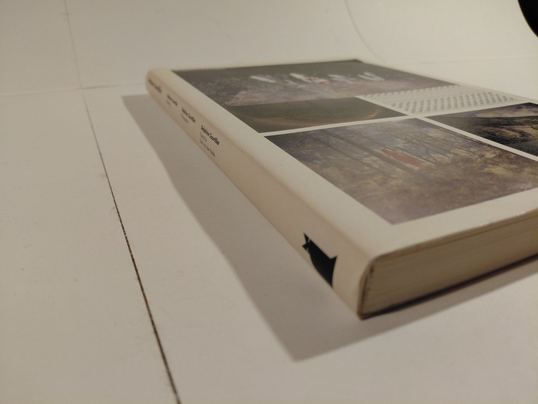 Libri: Delphine Courtillot - Bart van der Heide – Usato da Winterthur venduto da SilverFR 7