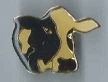 Kuh Pin