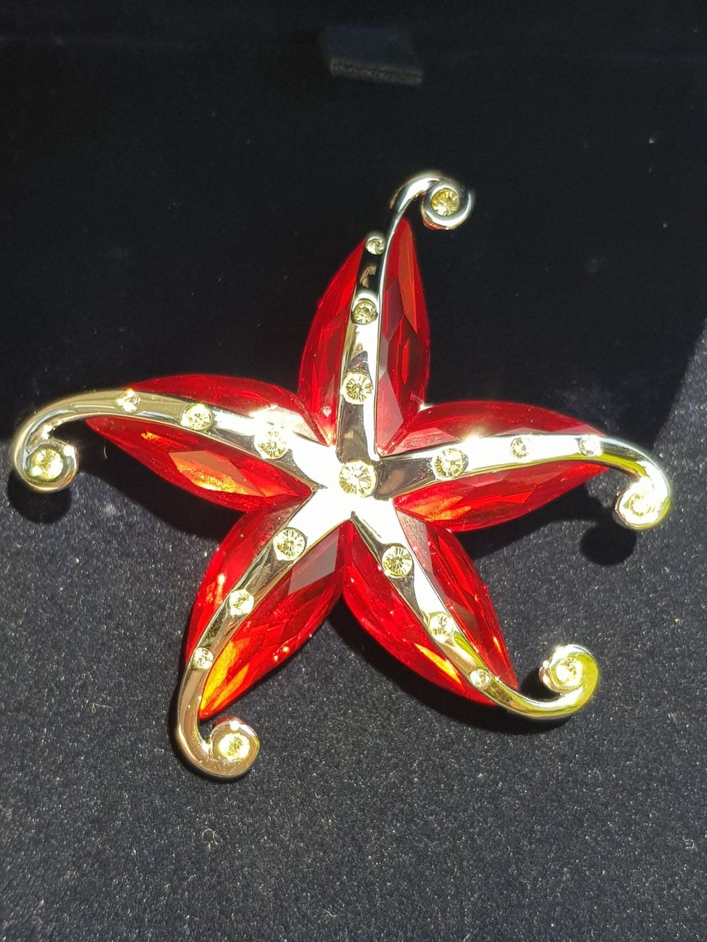 Swarovski Spille & Fermagli: Swarovski Brosche - Rare(Original) – Nuovo e nell'imballaggio originale da Lengnau BE venduto da Mango888 2