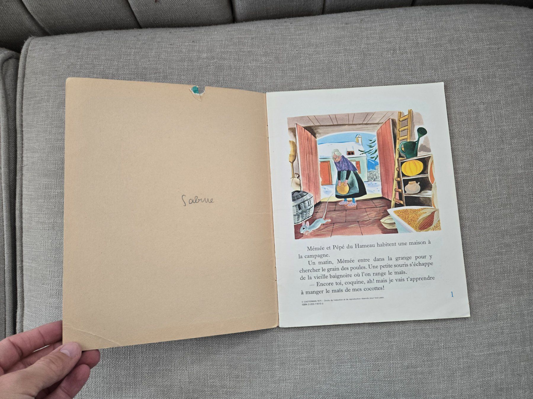 Libri: Petit ami - livre illustré – Usato da Crémines venduto da Blakedrake 4