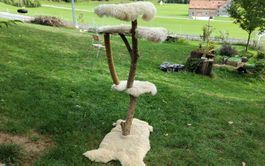 Katzenbaum aus Naturholz mit Schaffell Auflage selbstgemacht