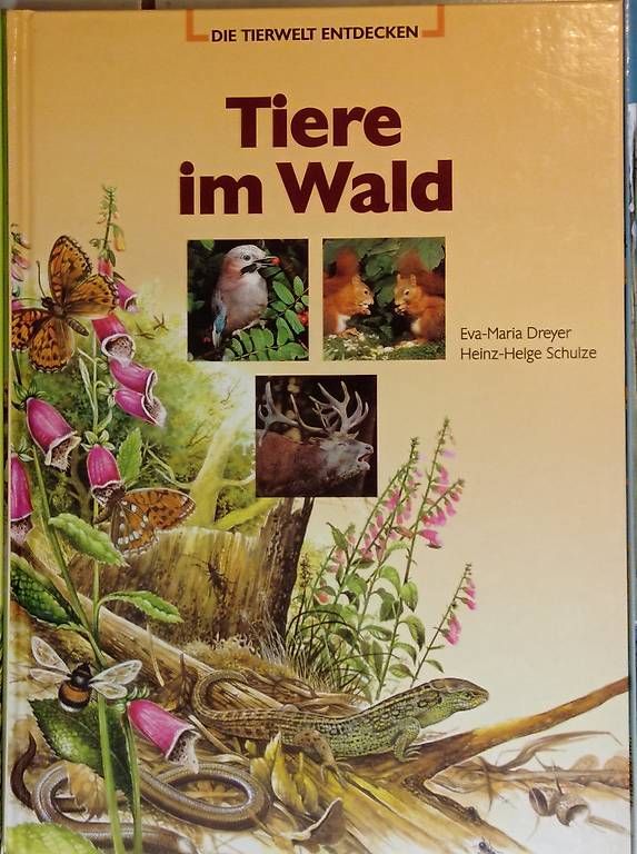 Libri: DIE TIERWELT ENTDECKEN – Usato da Flumenthal venduto da max4534 2