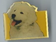 Hunde / Pin - Golden Retriever Welpe!