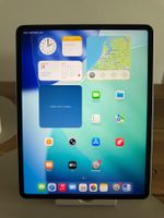 iPad Pro 12,9 Zoll (4. Generation) – 256 GB – Top Zustand