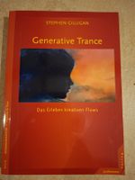Stephen Gilligan Generative Trance Buch guter Zustand