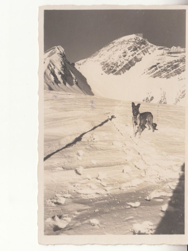 Cartoline postali: Säntis ca. 1930 – Usato da Bürglen TG venduto da StampGraf