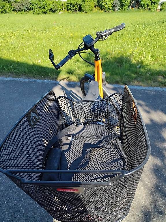 Biciclette: Cresta- E-Drive Giro Gates Oara Bosch N – Usato da Kreuzlingen venduto da jub_bkt6 2