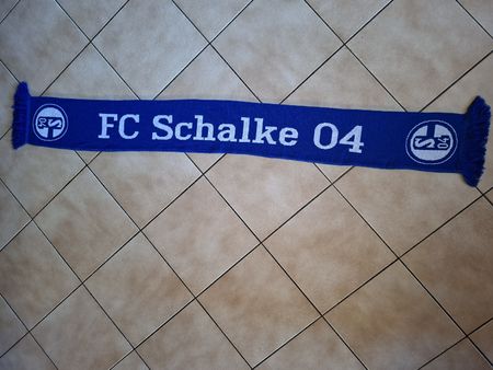 Bundesliga FC Schalke 04 Schal 