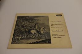 Diverse Schallplatten 12" / LP / Maxi-Single