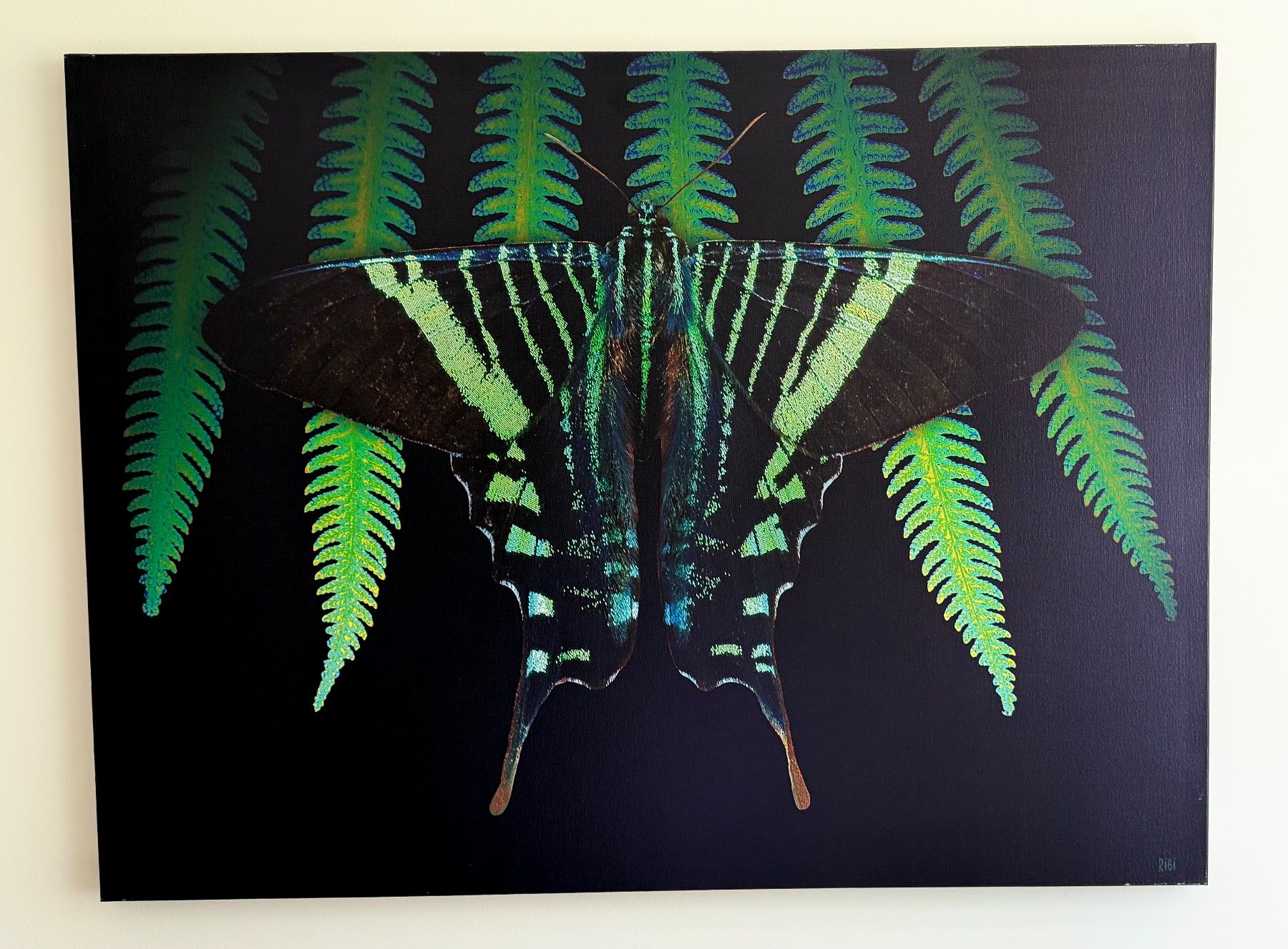 Foto & Immagini: Leinwandbild 100x75, Urania leilus – Usato da Ermatingen venduto da Atropos57